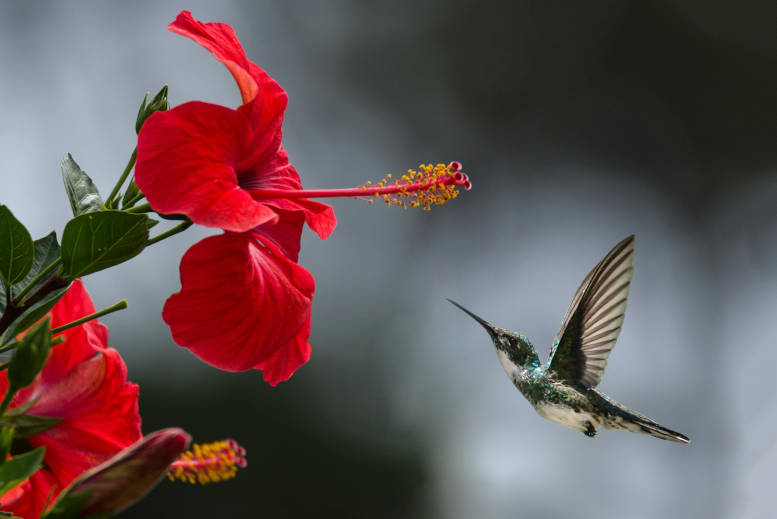 Sinan Sökmen Insurance - We do not take part in any project that harms humans and nature!